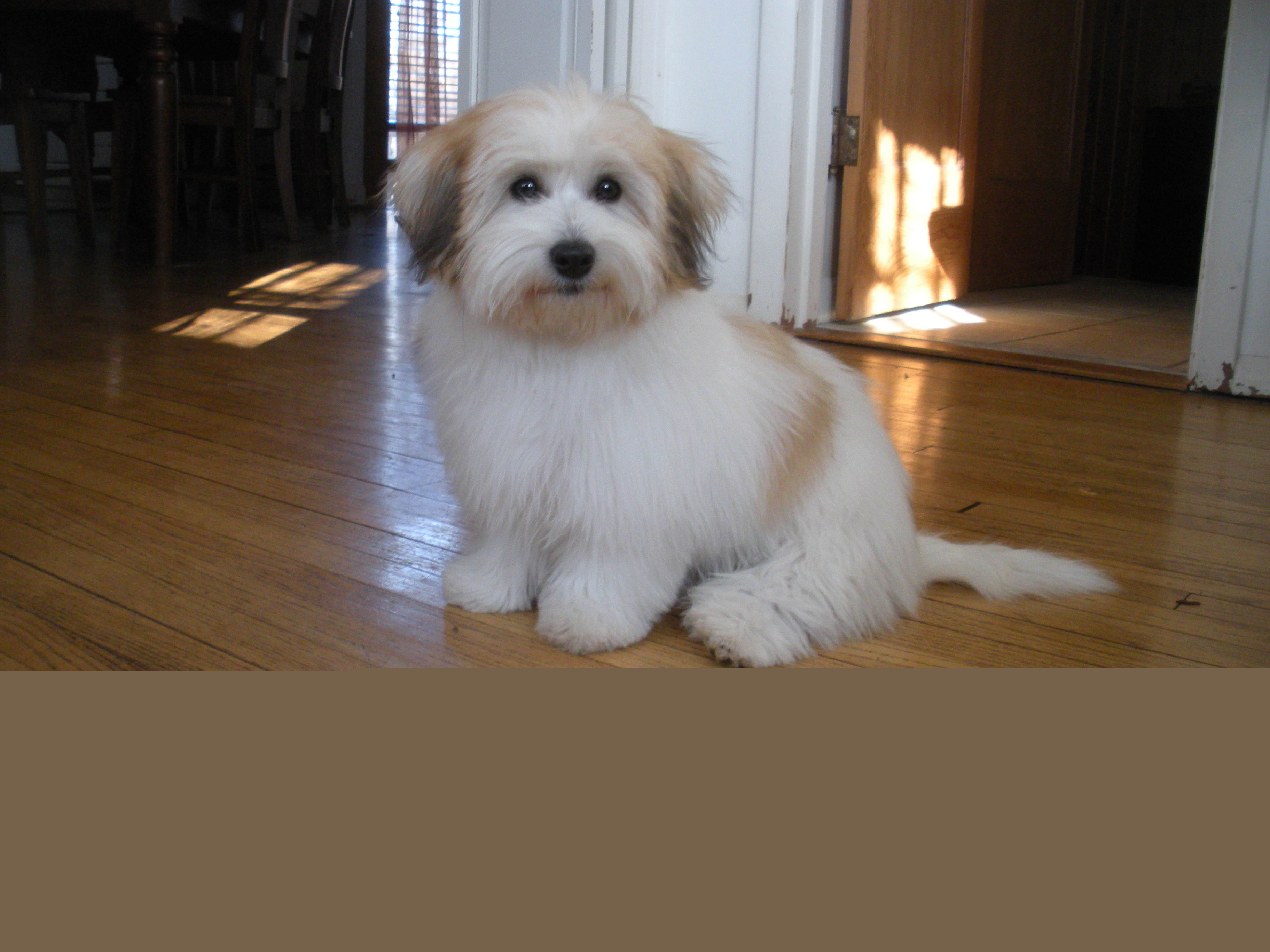 dscn3910.jpg